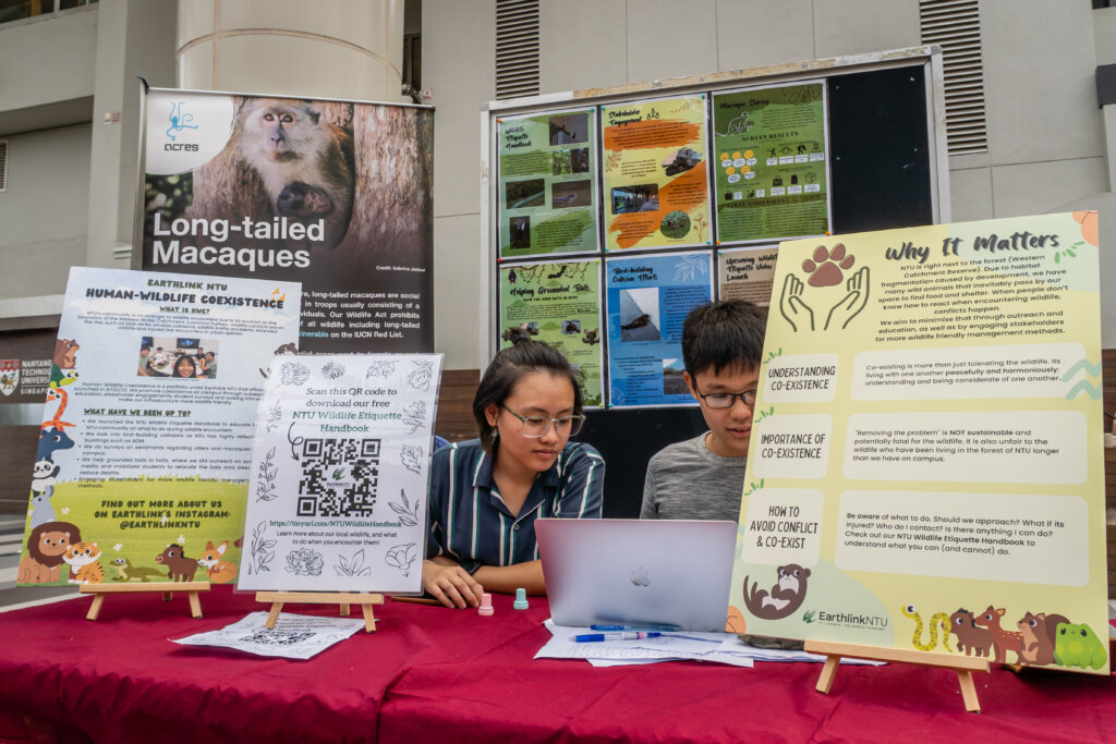 Meet the campus creatures: New handbook showcases NTU wildlife and what to do if you encounter them