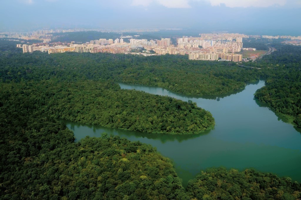 An aerial view of the Central Catchment Nature Reserve and the surrounding residential areas. (PHOTO: Nparks)